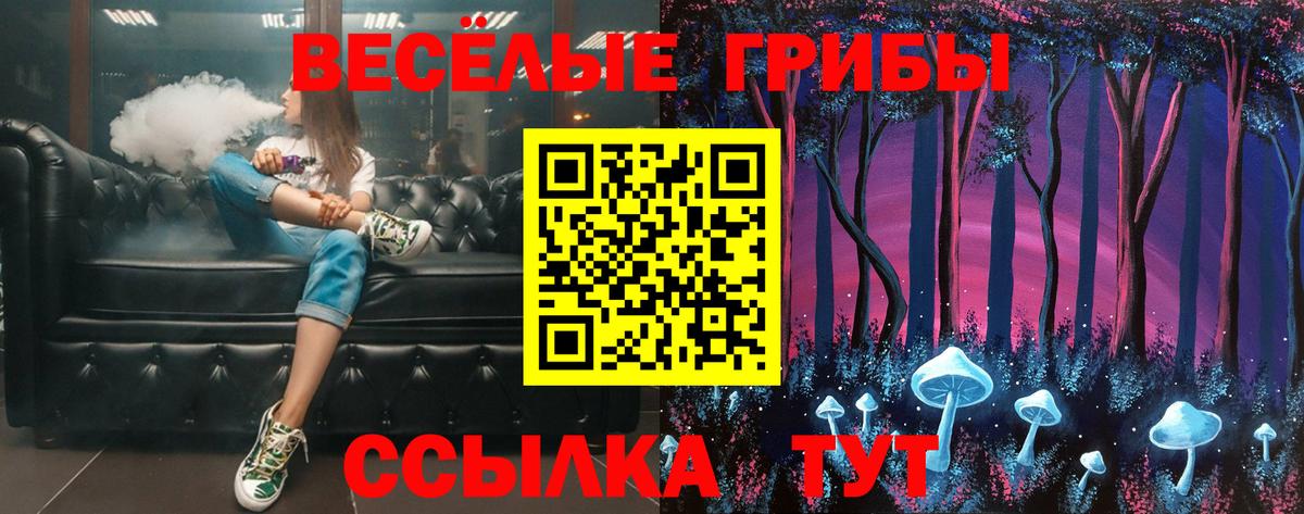 Галлюциногенные грибы Psilocybine cubensis Иваново